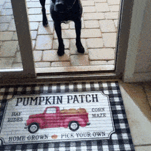 Muddy Paw Mat