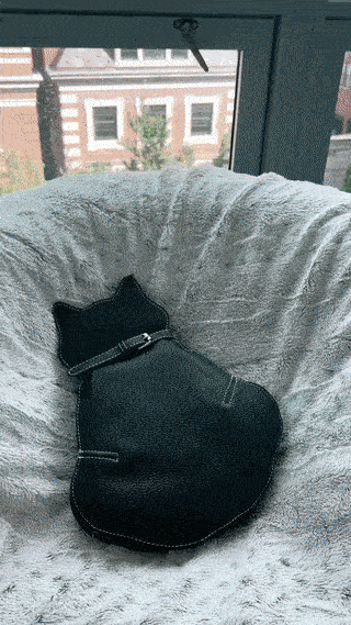 Süße Umhängetasche mit Katzenmotiv