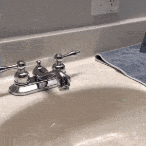 🐶犬のお尻に歯磨き粉トッパーを塗ってウンチをさせたのは誰?