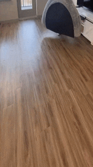 Giant Human Dog Bed