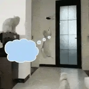 Interactive Bird Simulation Cat Toy