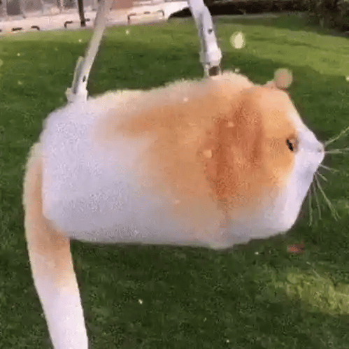 Orange, grey, siamese cat shaped handbag, 3D cat purse, kitty purse and unique gift for cat lover woman