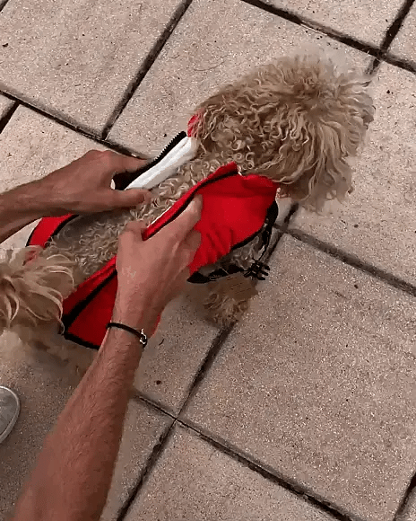 Mycatpuppyshop™ PREMIUM WINTERGESCHIRRJACKE