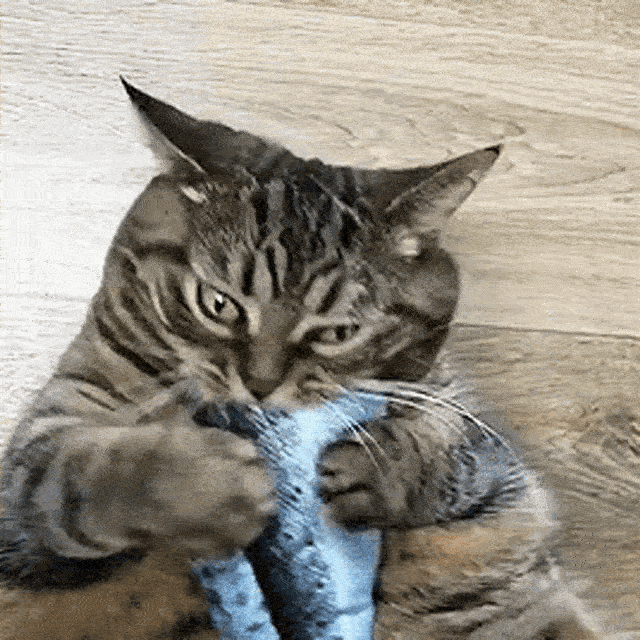 2024 Verbessertes interaktives Katzenspielzeug mit zappelndem Fisch
