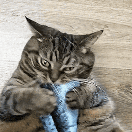 2024 アップグレードされたインタラクティブなフロッピングフィッシュ猫のおもちゃ