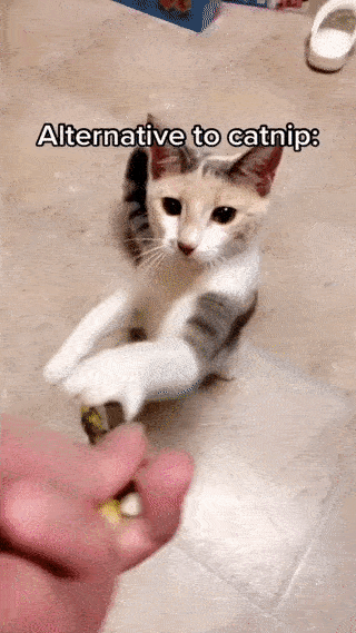 Pawstrip™ シルバーバイン キャットスティック