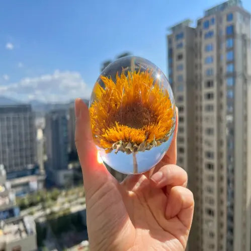 Ewige Sonnenblumenblüten Kristallkugel