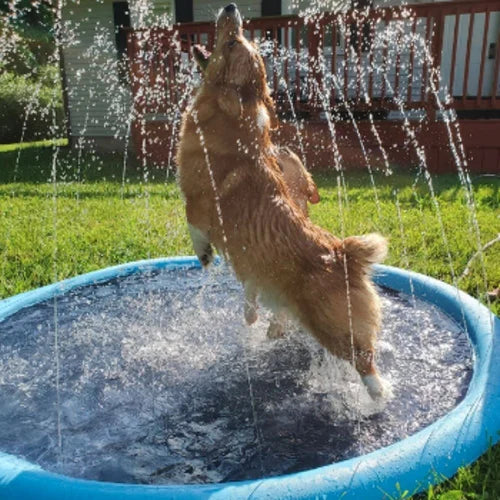 Dog Splash Sprinkler Pool (2. Generation)