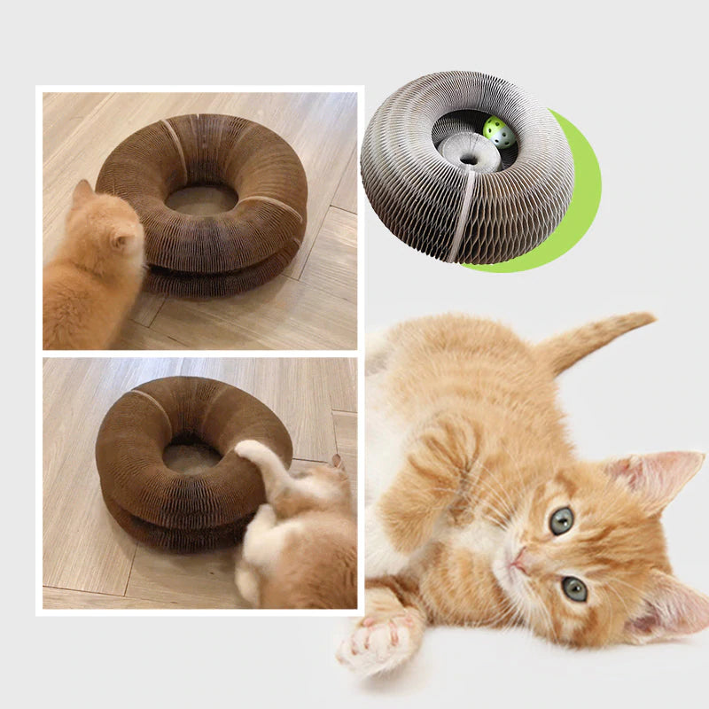 2023 マジックオルガン 猫用爪とぎボード (GEN2,3)