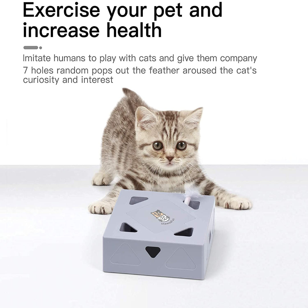 Catbox インタラクティブ ピーカブー 猫用おもちゃ