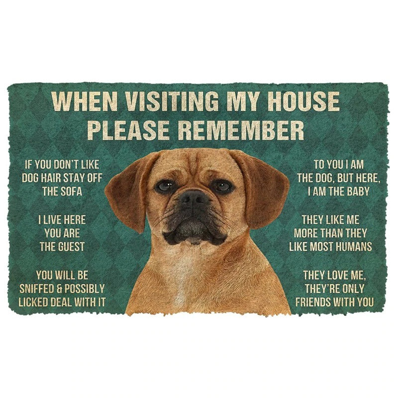 Doggo Welcome Anti-Slip Door Mat