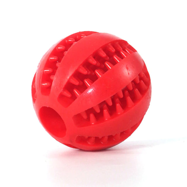 TOOTHY DOG CHEW TOY