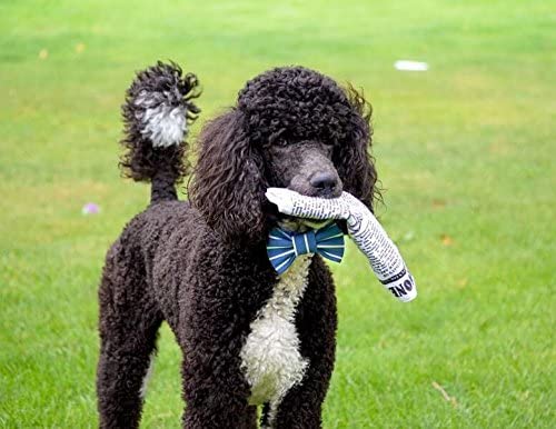 Quietschendes interaktives Zeitungs-Hundespielzeug