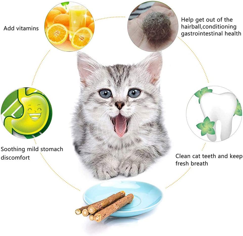 Pawstrip™ Silvervine Cat Stick