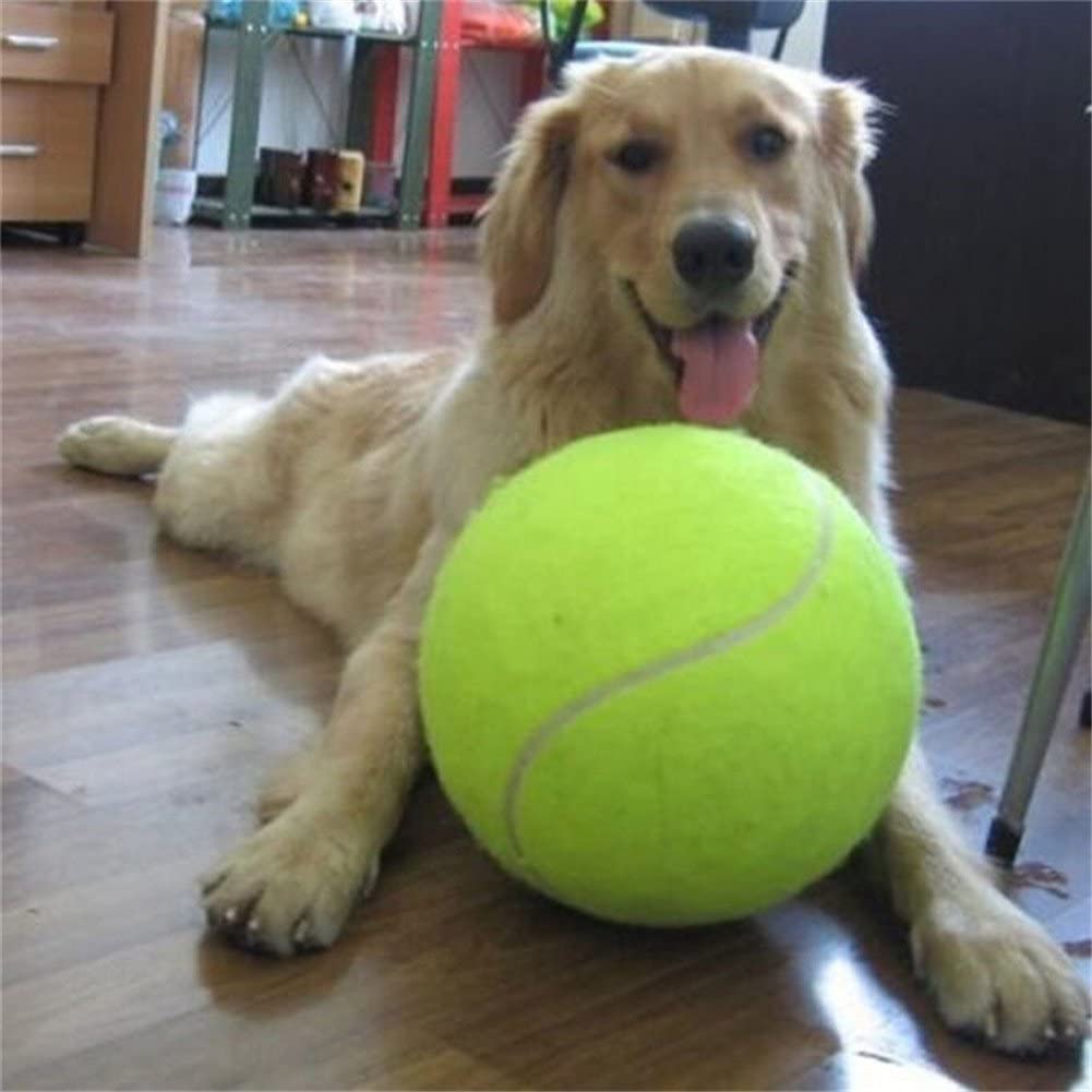 Riesiges Tennisball-Hundespielzeug (24 cm Durchmesser)