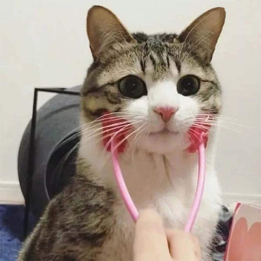 猫用フェイスマッサージャー