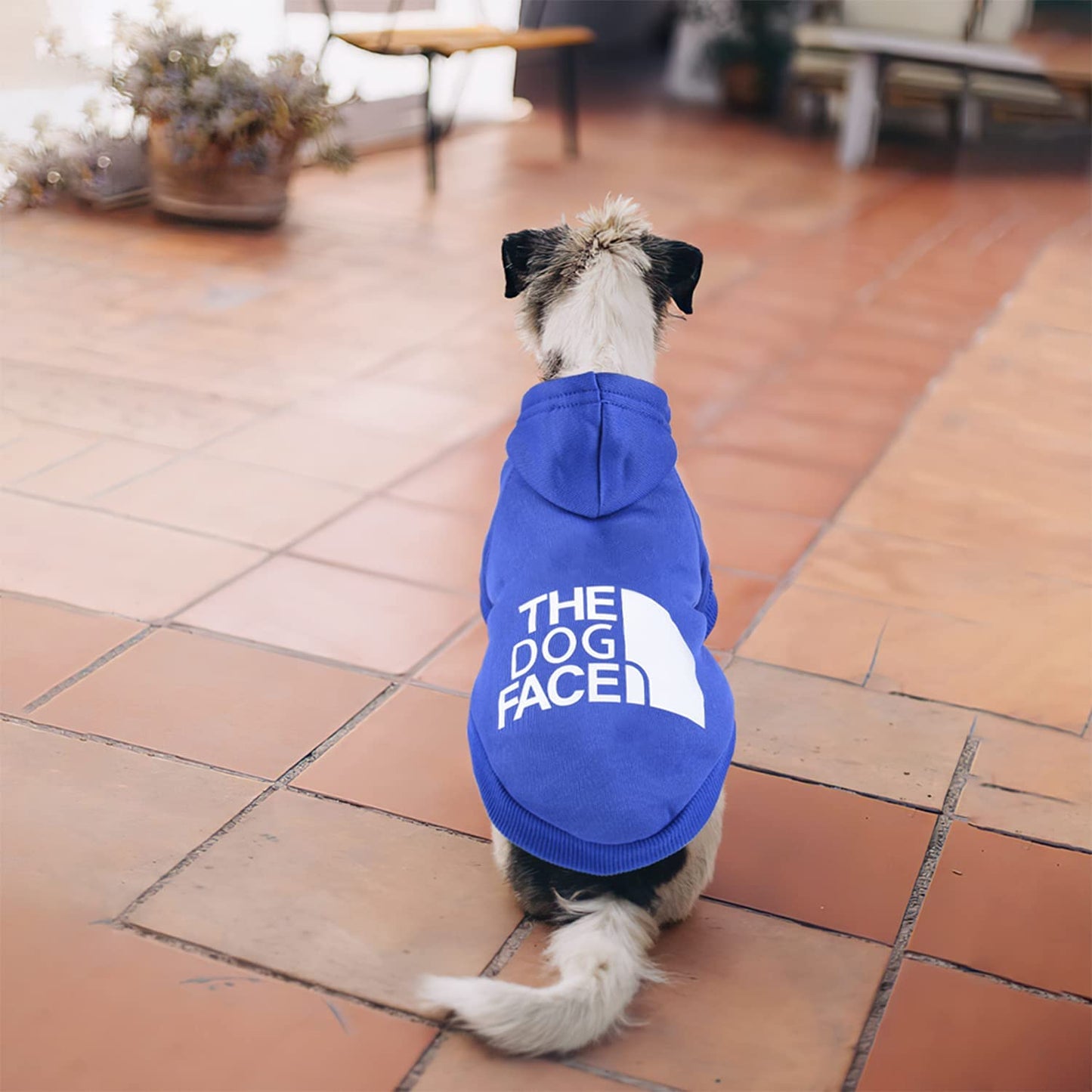 The Dog Face™ Winter-Hoodie für Hunde