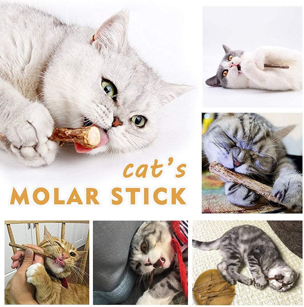 Pawstrip™ Silvervine Cat Stick