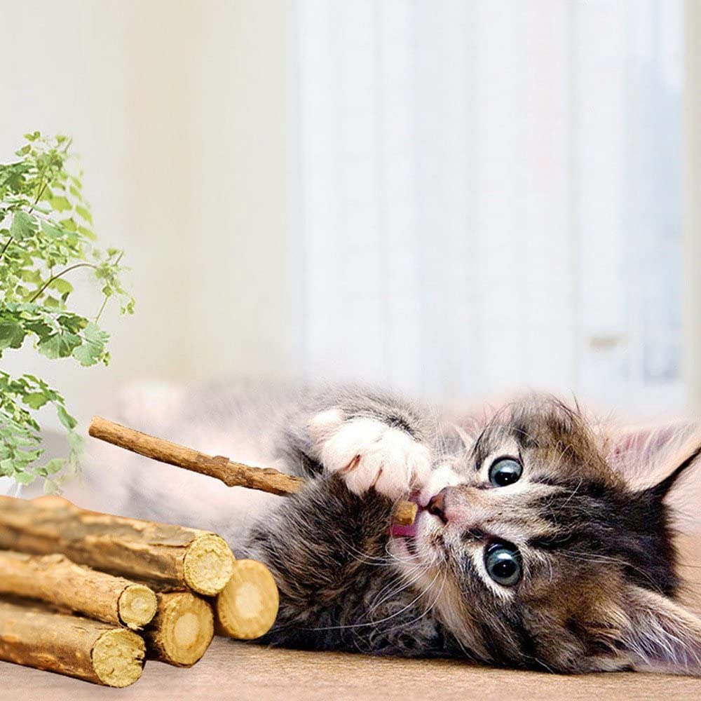 Pawstrip™ Silvervine Cat Stick