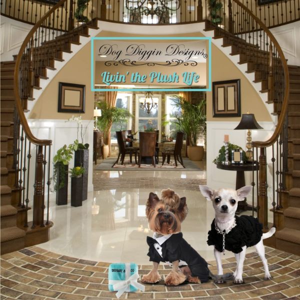 Luxuriöses Designer-Kauspielzeug für Hunde mit Quietscheffekt