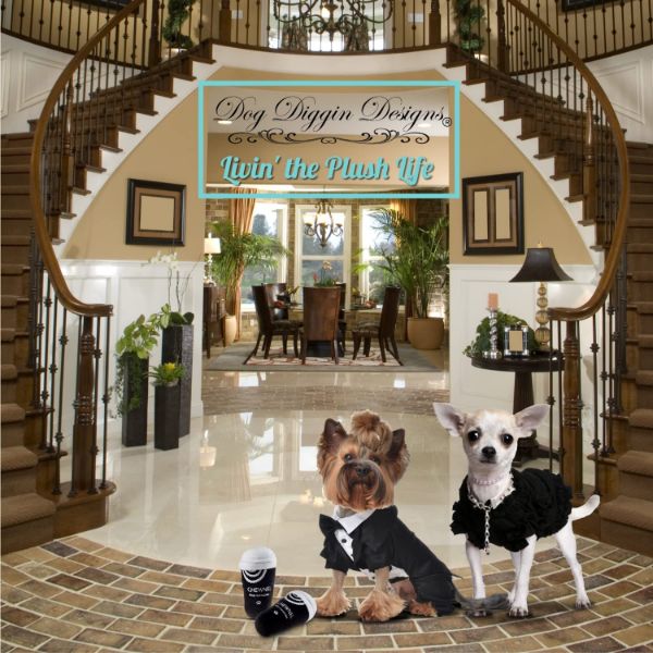Luxuriöses Designer-Kauspielzeug für Hunde mit Quietscheffekt