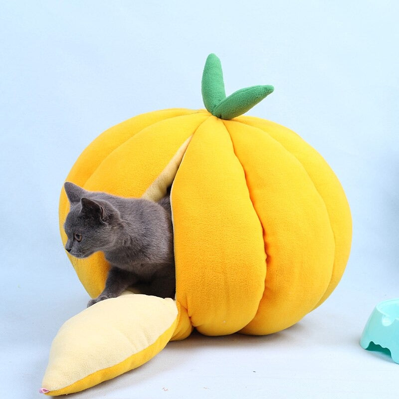 Giant Pumpkin Cat bed
