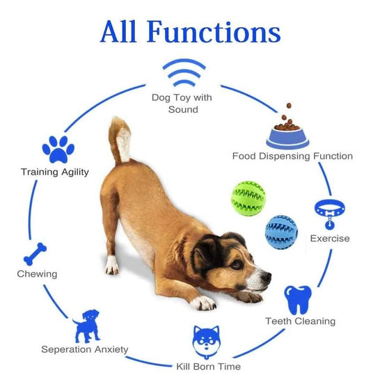 歯が生える犬用噛むおもちゃ