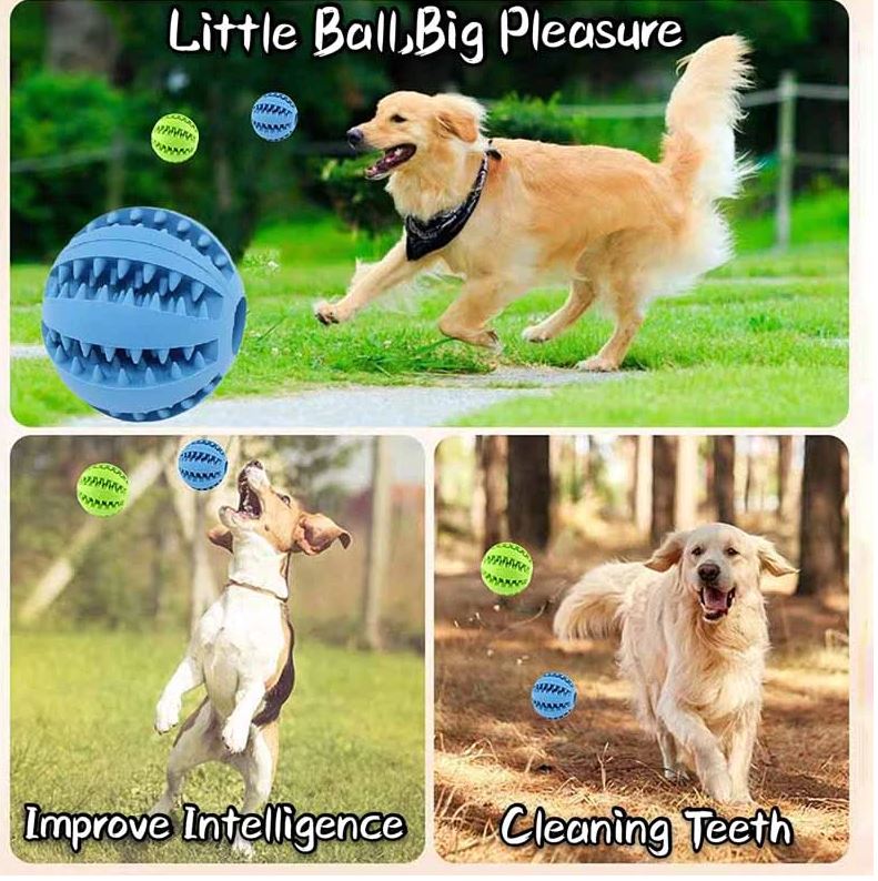 TOOTHY DOG CHEW TOY