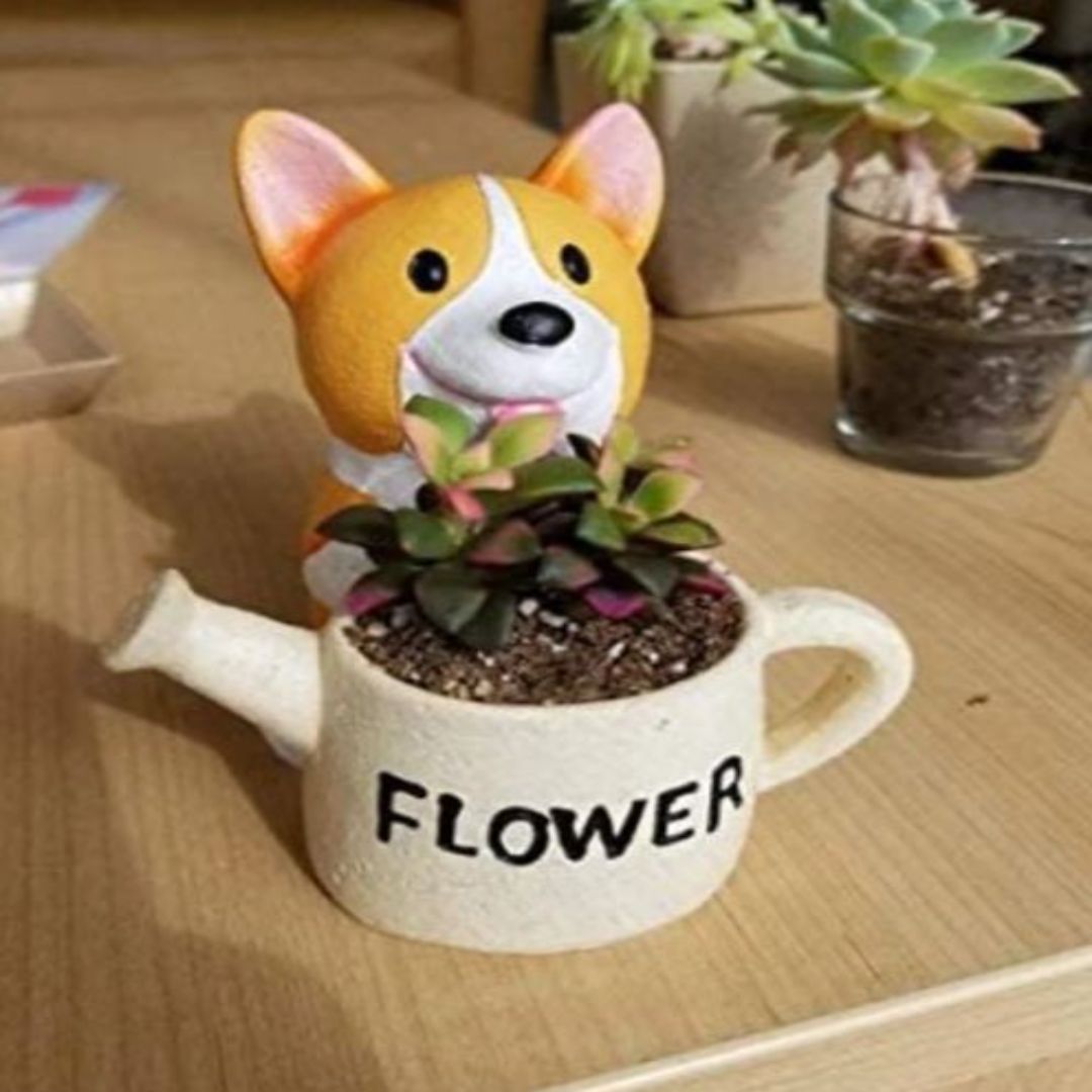 Corgi Sukkulenten Übertopf