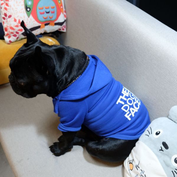 The Dog Face™ Winter-Hoodie für Hunde