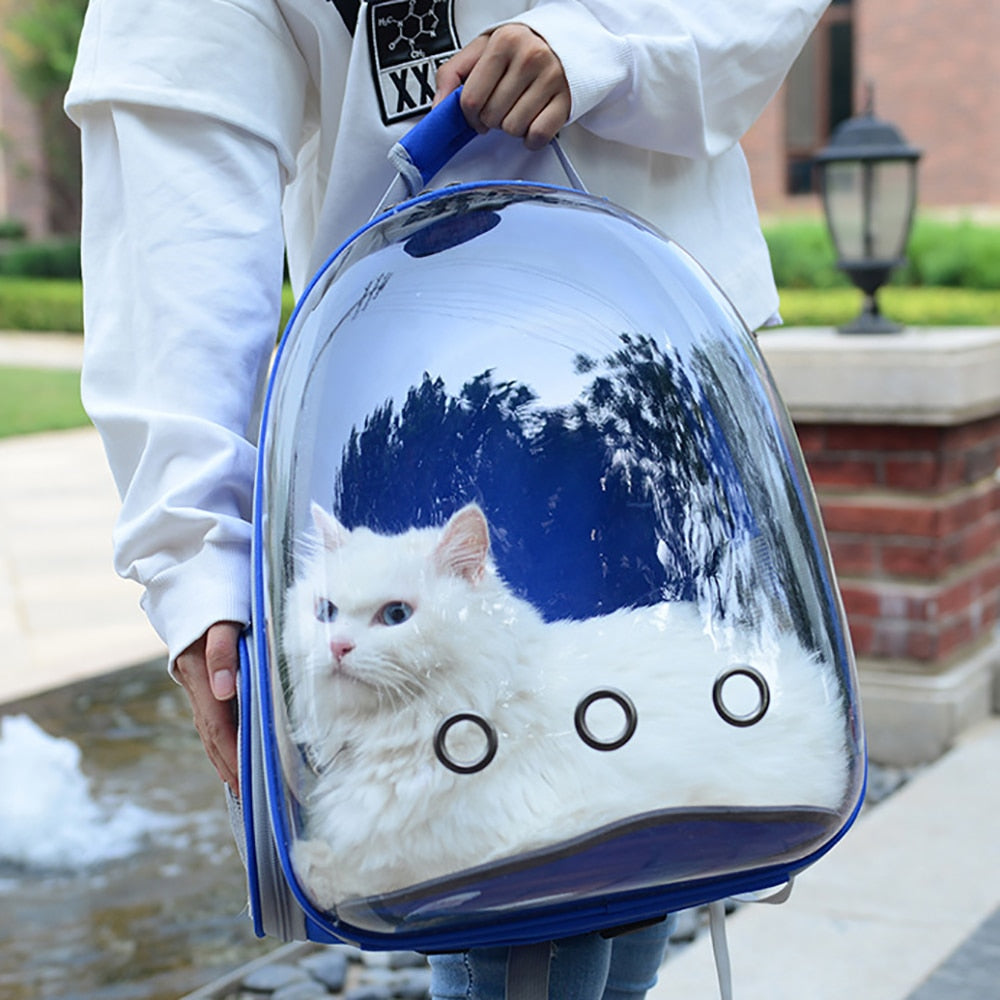 Bubble Cat Tragerucksack