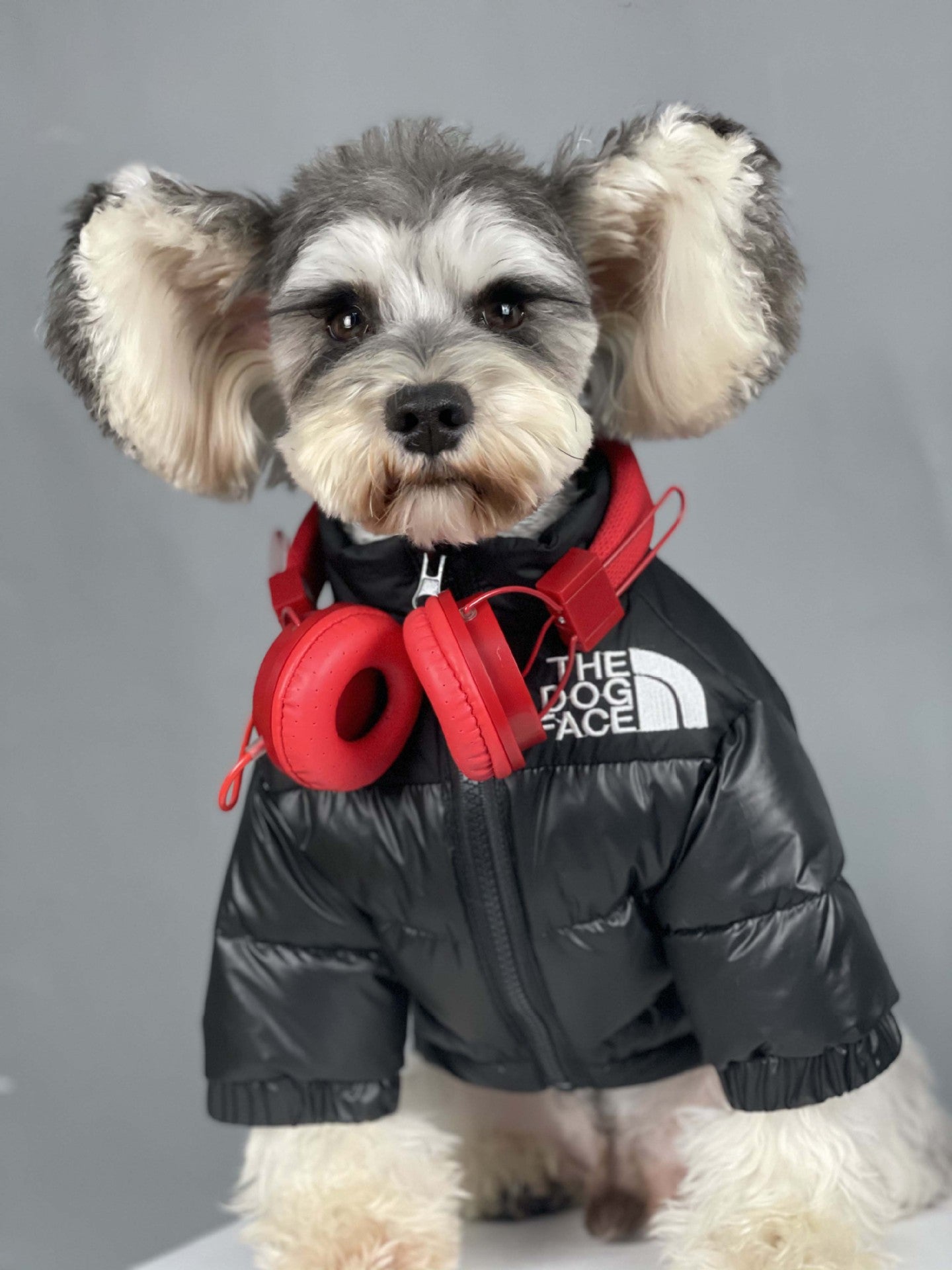 Die DogFace™ Pufferjacke