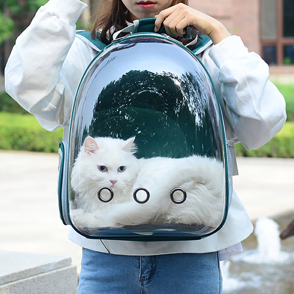 Bubble Cat Tragerucksack