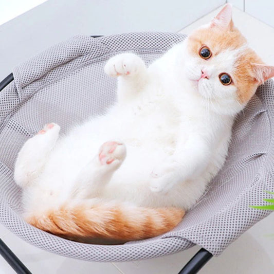 Luxury Elevated Cat Hammock Bed