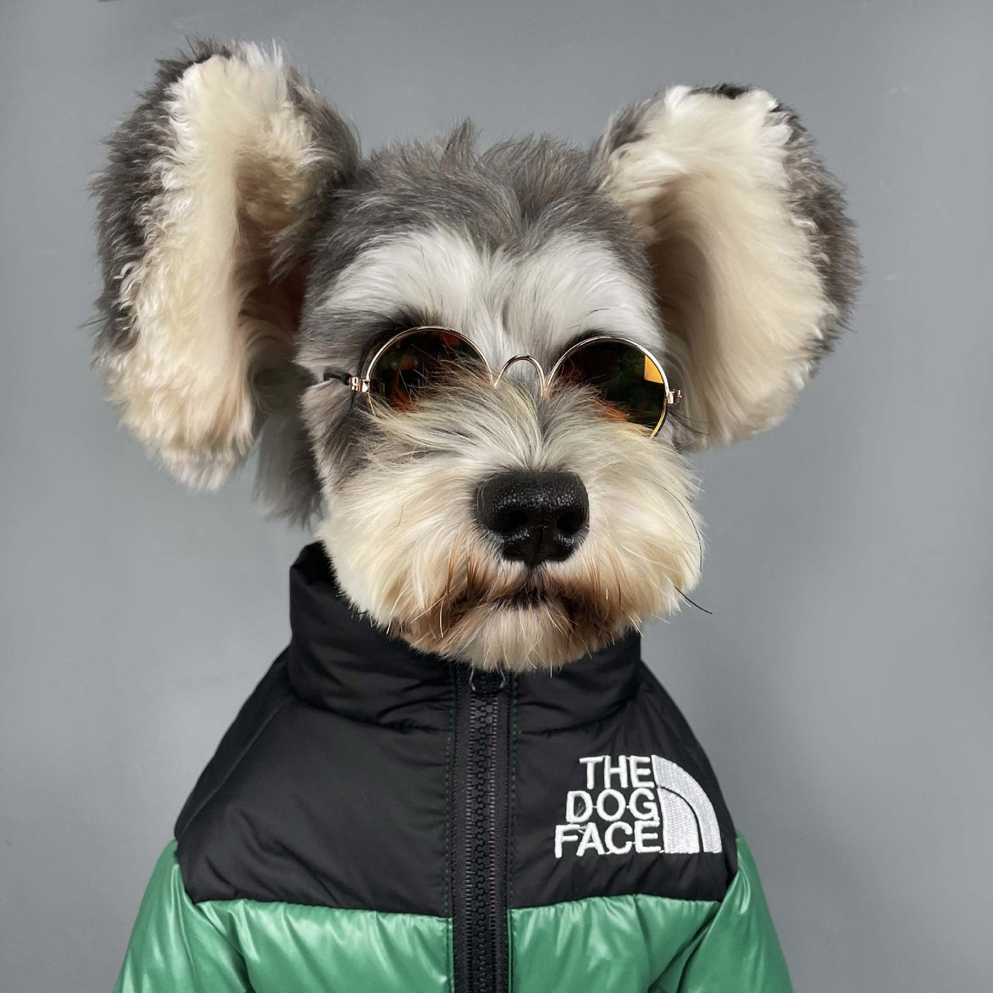 Die DogFace™ Pufferjacke