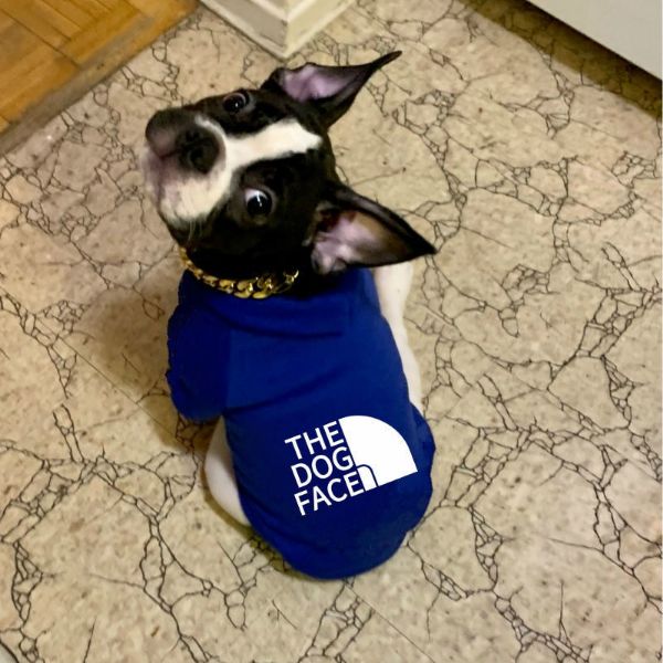 The Dog Face™ Winter-Hoodie für Hunde