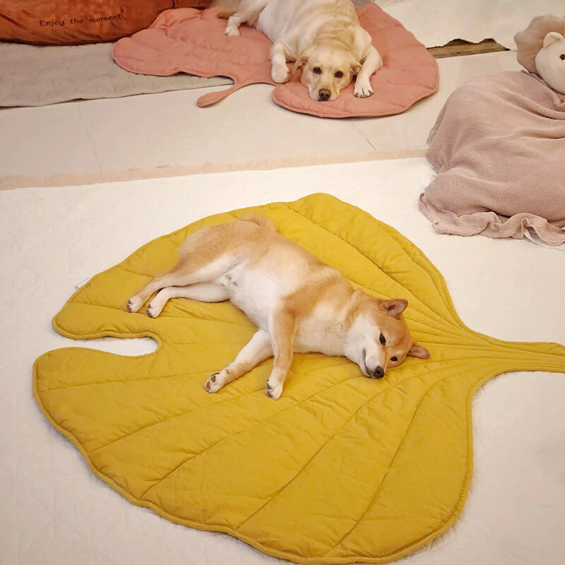 葉っぱの形をした犬用ブランケット