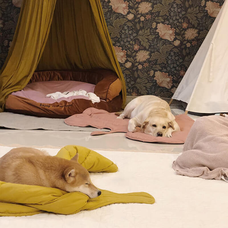 葉っぱの形をした犬用ブランケット