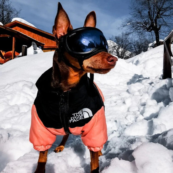 Die DogFace™ Pufferjacke