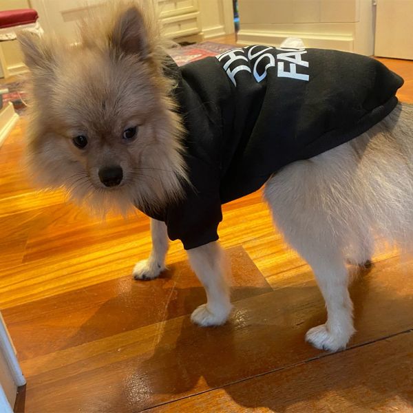 The Dog Face™ Winter-Hoodie für Hunde
