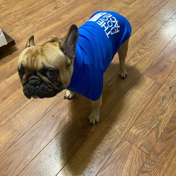The Dog Face™ Winter-Hoodie für Hunde