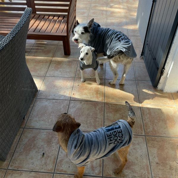 The Dog Face™ Winter-Hoodie für Hunde