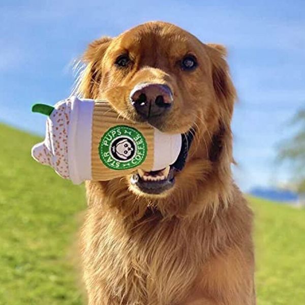 Quietschspielzeug für Hunde „Thread Wave“ (mehrere Geschmacksrichtungen)
