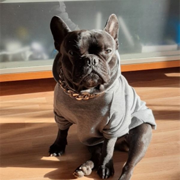 The Dog Face™ Winter-Hoodie für Hunde
