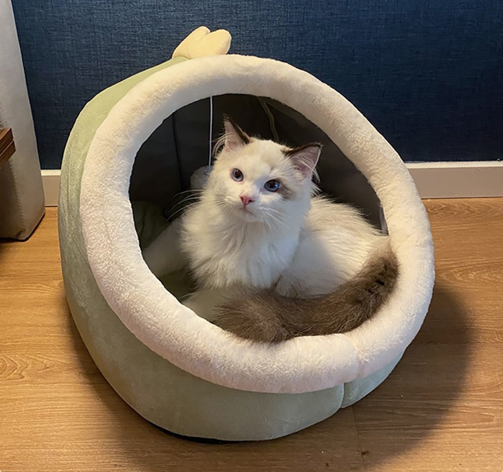 Gemütliches Katzenbett