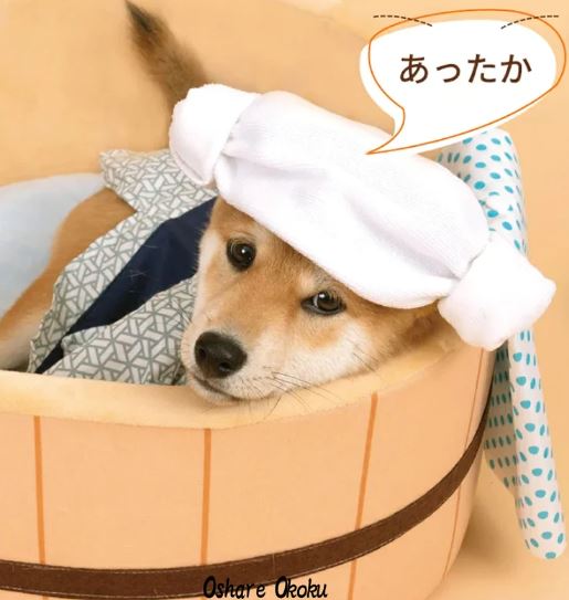 Japanese Onsen Bath Cat /Dog Bed