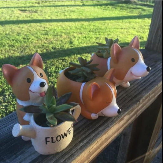 Corgi Sukkulenten Übertopf