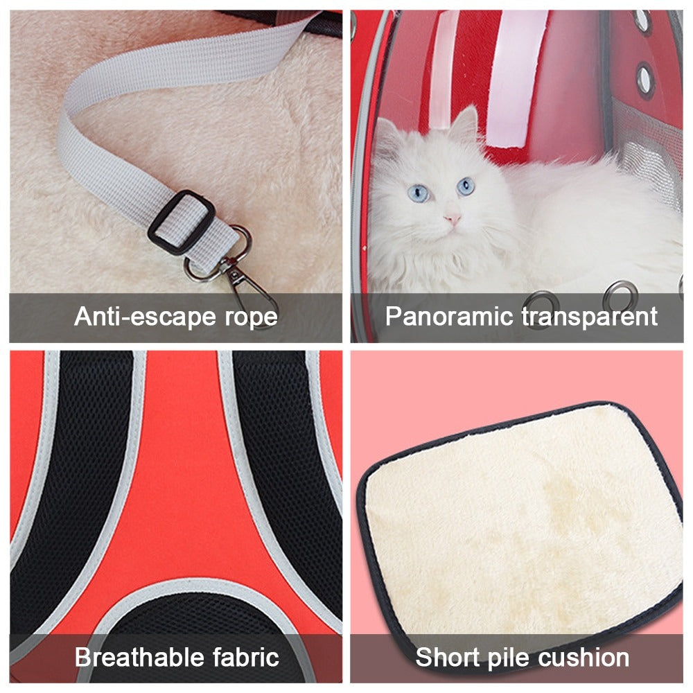 Bubble Cat Tragerucksack