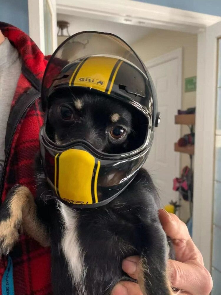 Shogu Pet Mini Helmet