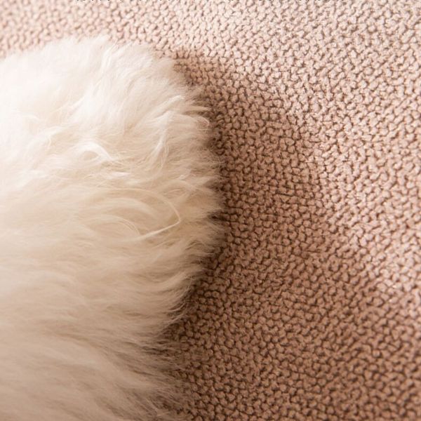 PetStair 高密度フォーム犬用ラダーステップ